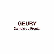  GEURY MOREL/CAMBIO